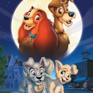 Meet your Posher, Rosy